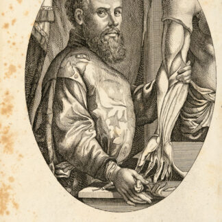 Vesalius, Andreas (1514–1564); - Flämischer Anatom und Chirurg. Ovales Porträt.