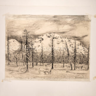 Meisser, Leonhard  (1902–1977); - Wald- Berglandschaft bei Ftan.