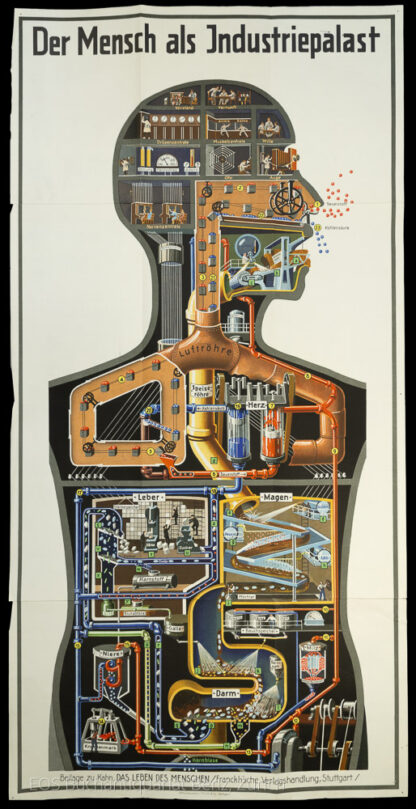 Kahn, Fritz: - Der Mensch als Industriepalast.