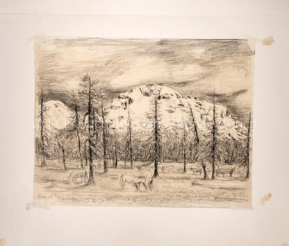 Meisser, Leonhard  (1902–1977); - Wald- Berglandschaft bei Ftan.