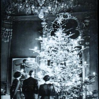 Schuh, Gotthard (1897–1969): - Weihnachtsbaum.